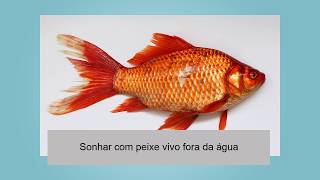 Sonhar com peixe vivo fora da água [upl. by Sarchet]