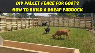 DIY Pallet Fence For Goats  How To Build A Cheap Paddock [upl. by Harihat]