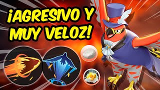 TALONFLAME EN BUENAS MANOS GANARÁ MUCHAS PARTIDAS 🔥 Guía build medallas y gameplay  Pokemon Unite [upl. by Yngiram]