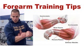 Forearm Training Tips [upl. by Eurd947]