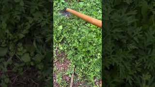 Weeds Control with Lever Effective Land Maintenance WeedControl LandMaintenance [upl. by Charlene]