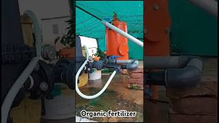 Farming 🌿 organicfarmar farming fertilizer organicfertilizer organic organickheti farmlife [upl. by Adalheid700]