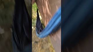 Hammock and Tarp setup [upl. by Claudianus]