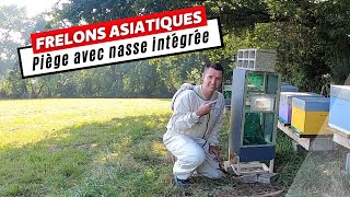 Piège à Frelons Asiatiques DIY  Principe de la Nasse en Action [upl. by Anjela]