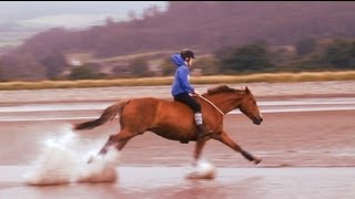 Galloping TACKLESS on the beach [upl. by Ssidnak194]