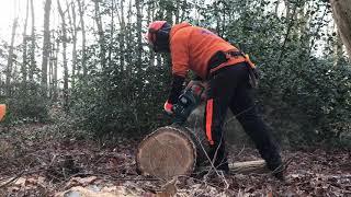 Makita DUC353Z cutting 40cm Oak log [upl. by Linad]