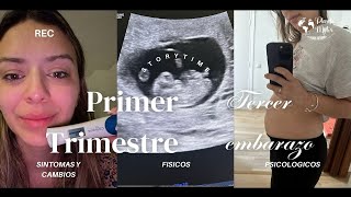 Síntomas y Cambios PRIMER TRIMESTRE DE EMBARAZO 3  STORYTIME [upl. by Barde154]