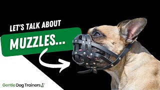 Lets talk about dog muzzles  HONEST Baskerville Dog Muzzle Review [upl. by Hinch]