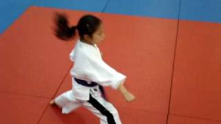 Learn KiCho  USA Freestyle Martial Arts [upl. by Myca]