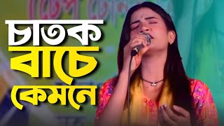 চাতক বাঁচে কেমনে। তানিয়া পাগলী। Chatok Bache Kemone। Taniya Pagli। Sajim Music HD [upl. by Airyt391]