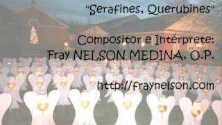 Serafines Querubines  Fray Nelson Medina [upl. by Didier]