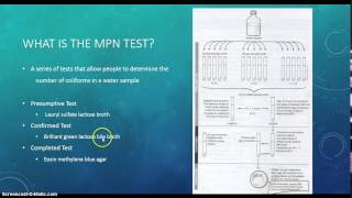 LSU Biol 2051  Microbiology Lab  Most Probable Number Technique for Fecal Coliform Detection [upl. by Okoy]