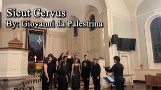 Fall Concert 2023 Sicut Cervus [upl. by Avik135]