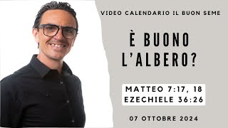 07 OTTOBRE 2024 Calendario cristiano IL BUON SEME [upl. by Salomo]