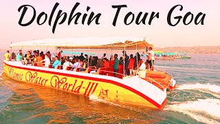 Dolphin Tour Goa Panaji  Dolphin Boat in Miramar Beach Goa Vlog  Dolphin Show Miramar Beach Goa [upl. by Meriel]