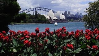 Sydney Royal Botanic Garden Tour [upl. by Rennat]