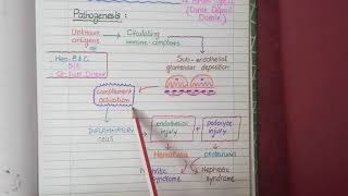 Membranoproliferative Glomerulonephritis  Pathology [upl. by Enelrahc]