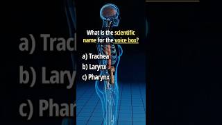 Anatomy Trivia trivia science quiz [upl. by Nylitak]