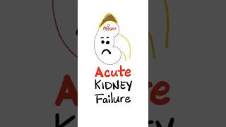 Prerenal Azotemia  Acute Renal Failure  Acute Kidney injury AKI nephrology mbbs nurse doctor [upl. by Jermyn]