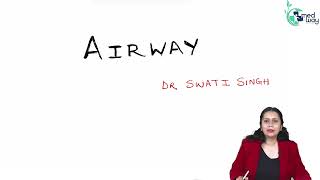 Basic Airway  By Dr Swati Singh  Anesthesia [upl. by Hultgren]