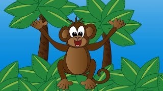 Meet the Monkey  Animals at the Zoo  Learn the Sounds Zoo Animals Make [upl. by Adelpho]