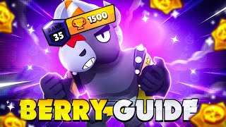 BERRY IS SECRETLY BROKEN  Pro Berry Guide  Best Berry Tips amp Tricks [upl. by Langdon]