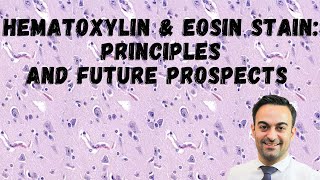 Histopathology Series Hematoxylin amp Eosin Stain Principles and Future Prospects [upl. by Margi703]