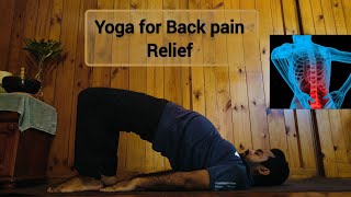 Yoga for Back pain Relief  Yoga Therapy for back pain NitYAMYoga yogaforbackpain yoga therapy [upl. by Salohcin776]