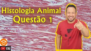 Questão 1  Histologia Animal  Biologia com o Tubarão [upl. by Aisayn]