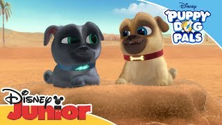 Puppy Dog Pals  Dig Song  Official Disney Channel Africa [upl. by Doe494]