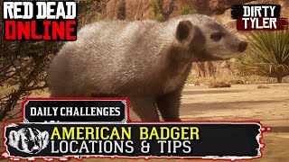 American Badger Locations rdr2 Online  Red Dead Online American Badgers Location Guide [upl. by Ariel]