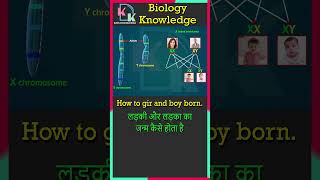 Human Chromosome  X Linked Inheritance  Alleles  XY Chromosome  How To Boy And Girl Born [upl. by Shiller]