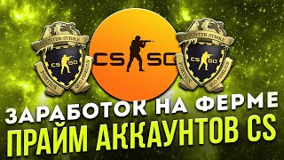 Заработок с помощью прайм аккаунтов CS Ферма праймов [upl. by Ponton]