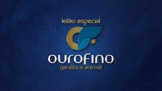 Lote 08 EMELINE OUROFINO OURO 4134 zap [upl. by Brear]