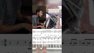 Catata No 1 — with sheet music cat reharm piano jazzpiano funnyvideo [upl. by Nilsoj]