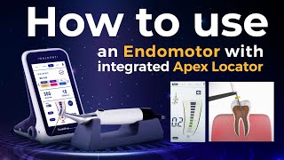 How to use an Endomotor with Integrated Apex Locator  Waldent [upl. by Alexander]