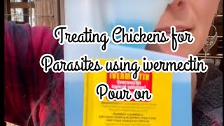 Ivermectin pour on for chickens Treats mites lice and intestinal parasites [upl. by Enaira]