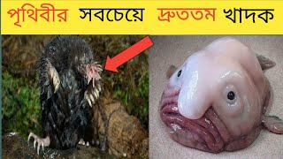 পৃথিবীর অদ্ভুত যত প্রাণী  যা আপনাকে অবাক করতে বাধ্য করবে  Some weird animal in the world [upl. by Jit812]