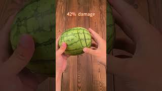 knife VS watermelon [upl. by Nageem]