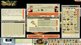 DOFUS Forgemagie Casque Dragoeuf 13 all  Over Vita [upl. by Adnouqal]