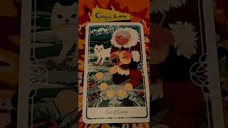 Saturday 17th August 2024 Daily Tarot Reading tarot intuitive cardoftheday [upl. by Virginia]