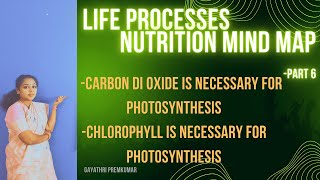 Life processesactivity lifeprocesses class10 biology cbse [upl. by Eelreveb]