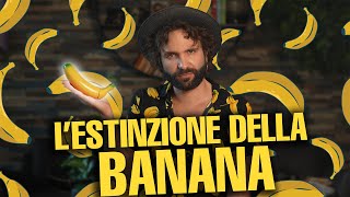 Questa potrebbe essere la tua ultima banana [upl. by Corneille]