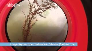 Looking underwater with a large aquascope [upl. by Helm]