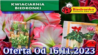 Biedronka  Kwiaciarnia Biedronki Nowa Oferta Od 16112023  Kwiatowe Inspiracje Biedronki [upl. by Antrim]