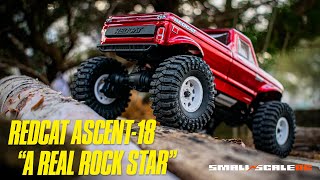 Redcat Ascent 18  Box Stock Crawling Action [upl. by Derron]