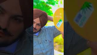 Like kar do Sidhu bai nu ❤️ punjabisong punjabi moosa song sidhumoosewala [upl. by Allecsirp]