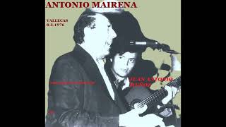 Antonio Mairena  Soleares de Frijones con Juan Antonio Muñoz [upl. by Ardnohsed539]