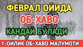 УЗБЕКИСТОНДА ФЕВРАЛ ОЙИДА ОБХАВО КАНДАЙ БУ́ЛАДИ  FEVRAL OYIDA OBHAVO QANDAY BOLADI [upl. by Tillman]