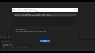 RESOUDRE LES PROBLEMES DECHEC DE LIMPORTATION DES FICHES SUR PREMIERE PRO 2024 [upl. by Koral]